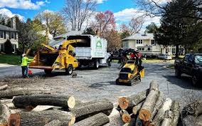 Best Firewood Processing and Delivery  in Dunellen, NJ